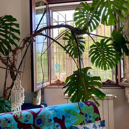 Villamarzia * Rialto