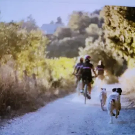 Villamarzia Вилла