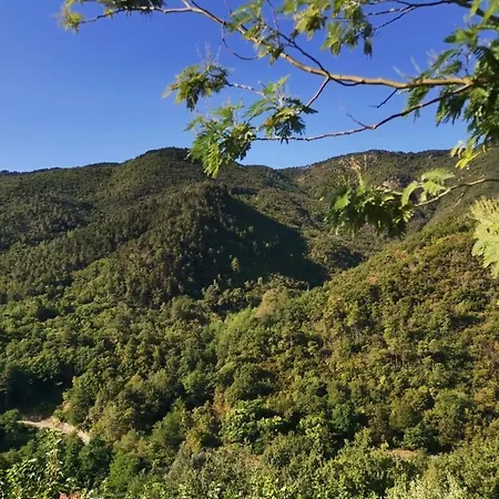 Villamarzia Βίλα Rialto